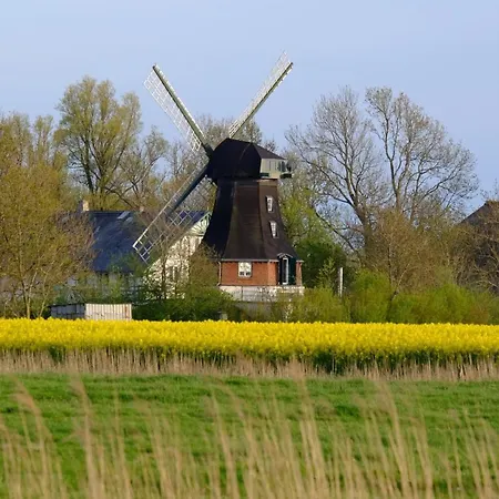 Windmuehle Catharina * Oldenswort